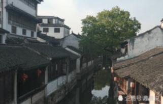 《青春有你3》终止录制取消决赛,此事中谁是最大的受害者?-专业问答网站